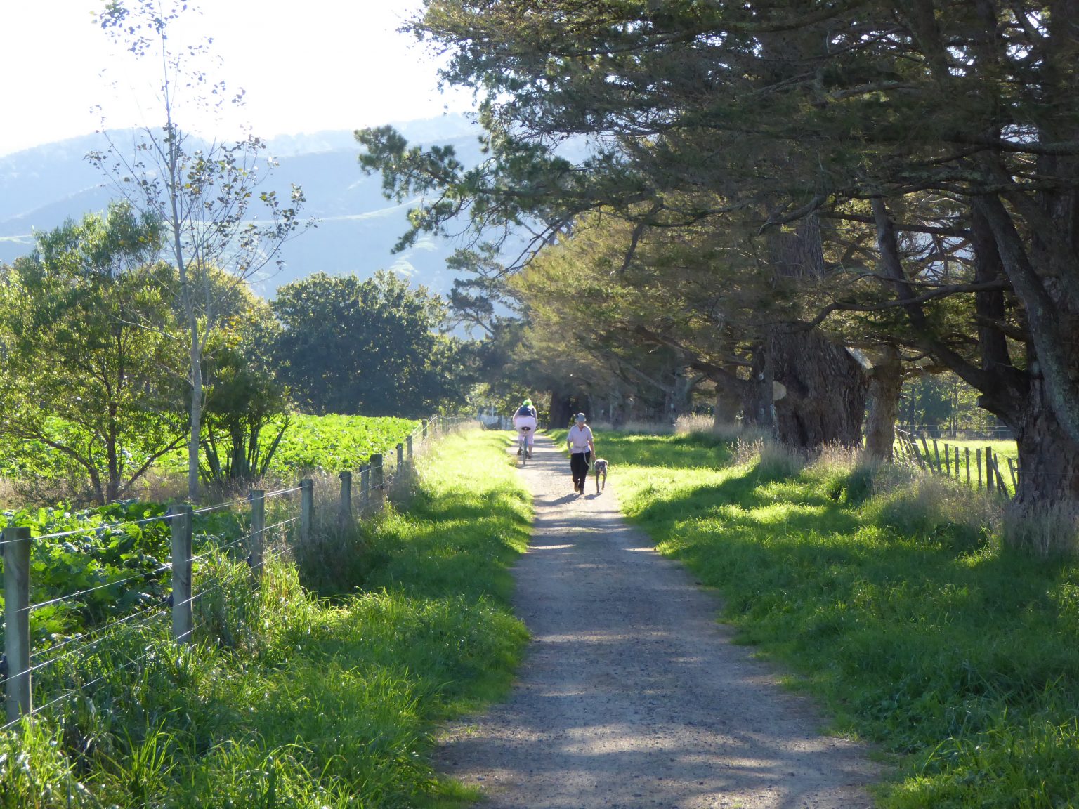 The Greytown Trail Walking New Zealand Magazine & Shop