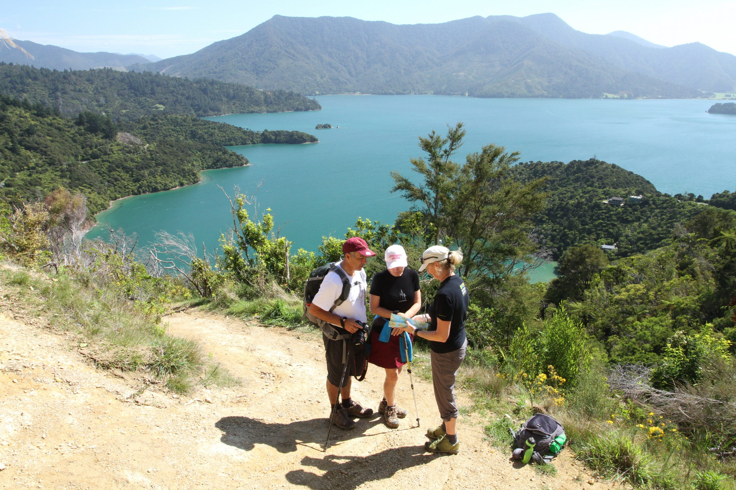 Walk the Queen Charlotte Track